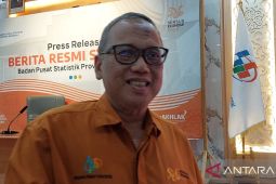 BPS: Ekspor komoditas Bengkulu perlu dioptimalkan lewat Pelabuhan Baai