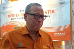 BPS sebut investasi kunci percepatan hilirisasi komoditas Bengkulu