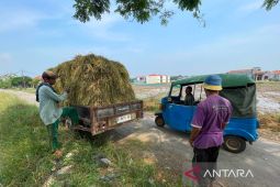 Pemkab Cirebon memastikan penetapan LP2B jadi dasar penataan investasi