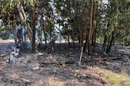 Kawasan eks arena MTQ Muara Bulian terjadi kebakaran