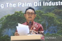 GAPKI: legalitas lahan jadi kunci peremajaan sawit rakyat