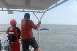 Tim SAR selamatkan korban speat boat tenggelam di Manasari Mimika
