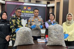 Polisi ungkap perdagangan ilegal sisik trenggiling di Pontianak