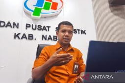 BPS: Papua Tengah penyumbang ekonomi terbesar di Maluku-Papua