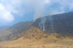 BPBD: Luas savana Bromo yang terbakar capai 80 hektare