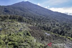 BBTNKS luncurkan program penghijauan di Gunung Kerinci