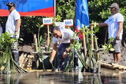 Rehabilitasi mangrove di Bali tambah potensi ekonomi dan kapasitas nelayan kelola ekowisata
