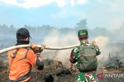 BPBD Muara Enim padamkan karhulta di satu titik Air Lintang