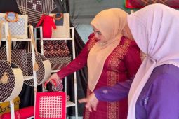 Aceh Timur ajukan dana desa kreatif Rp500 juta kepada Kemenekraf