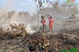 Manggala Agni masih tangani dua karhutla di Riau seluas 100 hektare lebih