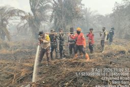 Tim gabungan padamkan karhutla seluas 12,5 hektare di Bengkalis