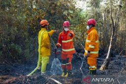 BPBD Kaltim susun regulasi karhutla perkuat tata kelola lingkungan