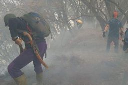 Pendakian  ke Gunung Gede Pangrango, ditutup