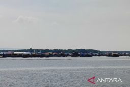 Bontang Kuala, hangatnya kehidupan kampung nelayan terapung