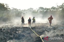 Dishut Kaltim perkuat pengamanan hutan dan libatkan masyarakat