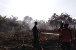 Pusdalops catat lima hektare terdampak karhutla di Labuhanbatu