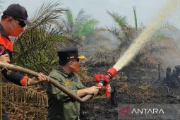 Gubernur Jambi ajak warga gelar salat istisqa cegah karhutla meluas