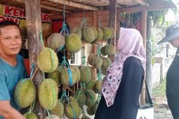 Pedagang mulai jajakan durian Badui di Rangkasbitung