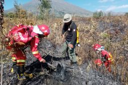 Kemenhut berhasil kendalikan karhutla di Sembalun Gunung Rinjani