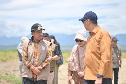 Pidie Jaya butuh dukungan anggaran Rp150 miliar untuk pemulihan lahan