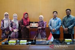 Banjarmasin jalin kemitraan dengan BBSPJIKB Yogyakarta untuk inovasi Sasirangan