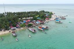 DKP Kaltim tingkatkan pengawasan guna lindungi penyu di Berau