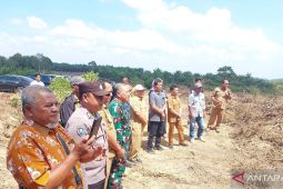 DKPP Belitung: Peremajaan kebun sawit rakyat tingkatkan produktivitas