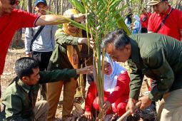 Ratusan siswa SMKN 1 Kendit Situbondo lakukan rehabilitasi hutan