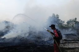 Kemenhut perkuat deteksi dini karhutla, pantau 73 hotspot di Kalsel