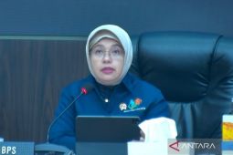 BPS: Penurunan IPH terjadi di 21 provinsi pada awal Agustus 2026