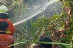 Gulkarmat padamkan kebakaran lahan di sekitar Stasiun Kampung Bandan