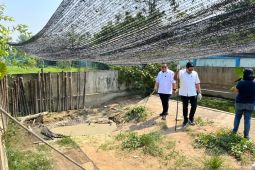 KKP siapkan penanganan buaya masuk ke pemukiman warga di Kalbar