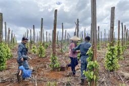 Kemenhut ungkap modus jual beli kawasan hutan lindung di Luwu Timur, Sulsel
