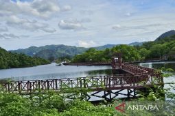 DKLH Papua terus kembangkan usaha warga berbasis hasil hutan