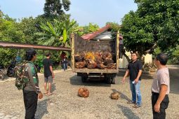 Polhukam kemarin dari pelaku pencurian hingga ruang kritik media
