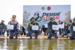 Pemkab Gresik-PT Smelting tanam 10.000 mangrove cegah abrasi
