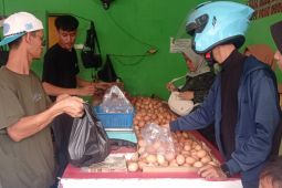 Harga telur ayam di tingkatan pengecer di Lebak kembali turun