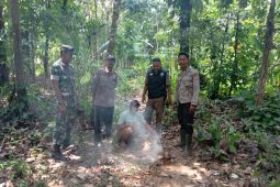 Polisi bersama TNI lakukan pencegahan karhutla di Lebak