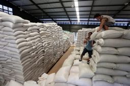 Bulog Sumut salurkan 720 ton jagung SPHP ke peternak ayam jaga harga