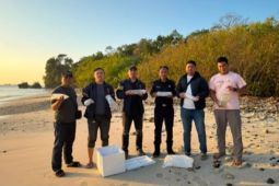 Polres Garut mendalami kasus penyalahgunaan benih bening lobster