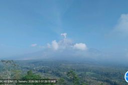 Semeru alami delapan kali erupsi dengan tinggi letusan capai 700 meter