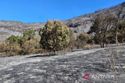 2.056 wisatawan ajukan "refund" usai Bromo ditutup total
