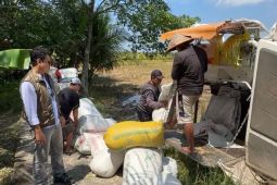 Bulog Singkawang serap 7.862,97 ton gabah petani