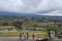 Kinerja dunia usaha di Bali menguat didorong liburan sekolah