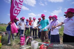 Pertamina luncurkan Bright Gas untuk petani di Gowa, hadirkan energi alternatif bagi pompa irigasi