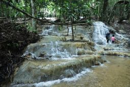 Pemkab Kutai Timur perkuat wisata konservasi edukasi sasar semua kalangan
