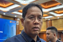 Pemerintah rencanakan tarik sebagian keuntungan Danantara