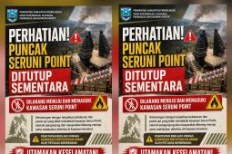 Wisata Puncak Seruni Point ditutup sementara akibat karhutla Bromo