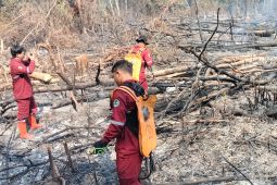28 titik api terdeteksi di Kabupaten Tabalong