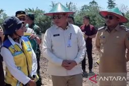 Pemkab SBT, Maluku peroleh alokasi program cetak sawah seluas 1.362 hektare
